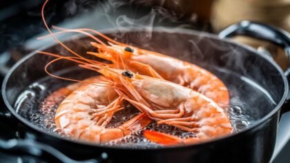 Combien de minutes pour que les crevettes deviennent roses ?