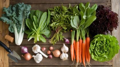 Top 10 des légumes à planter en novembre